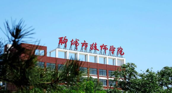聊城市技師學院有計算機專業嗎？